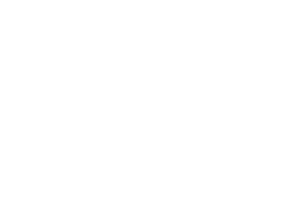 Chiropractic De Pere WI Van Drisse Chiropractic Center HP Logo (2)